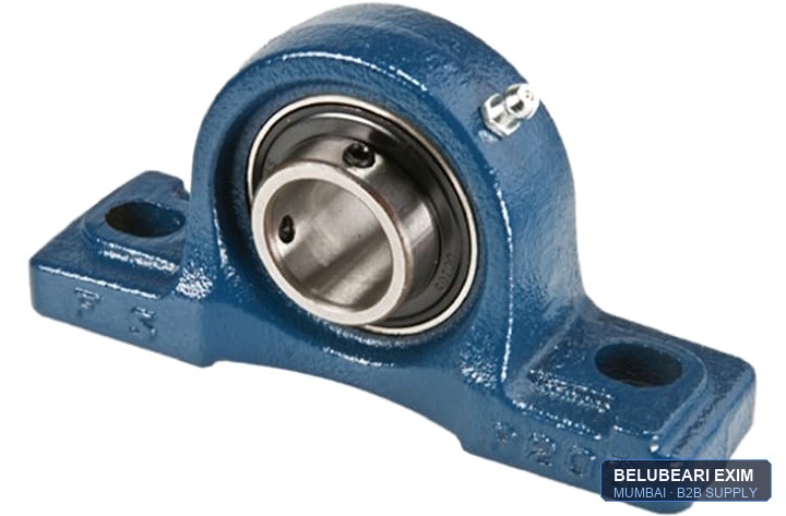 Pillow Block Bearing Variant